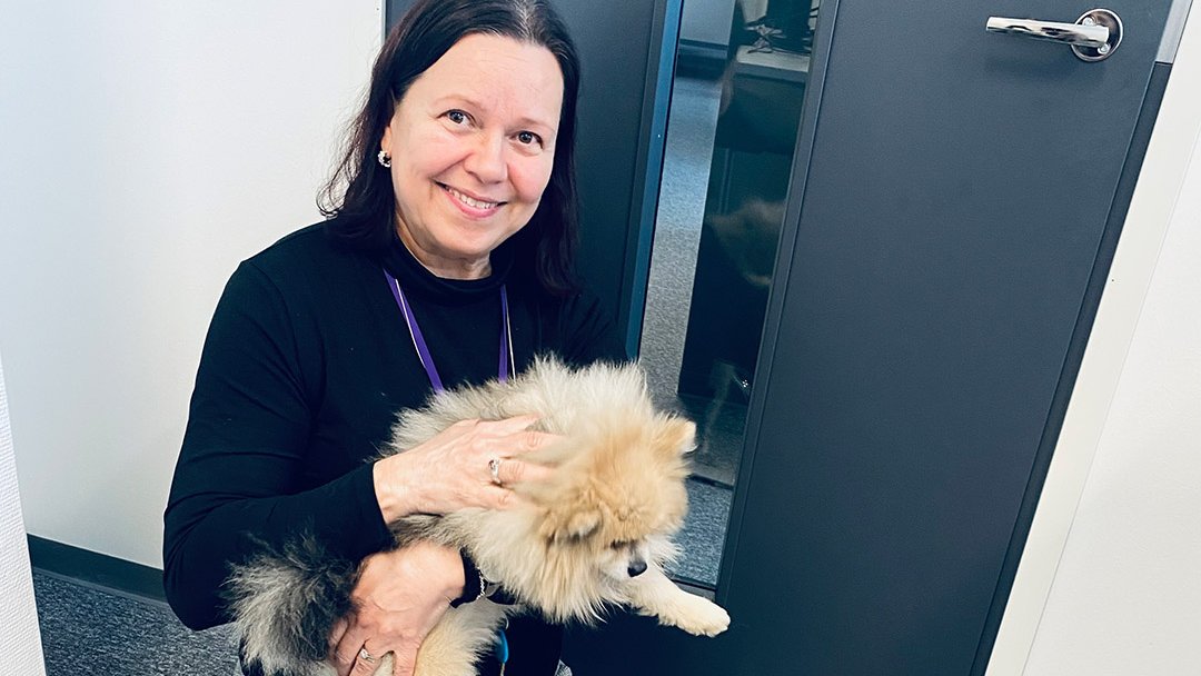 Staria Oyj tweet media