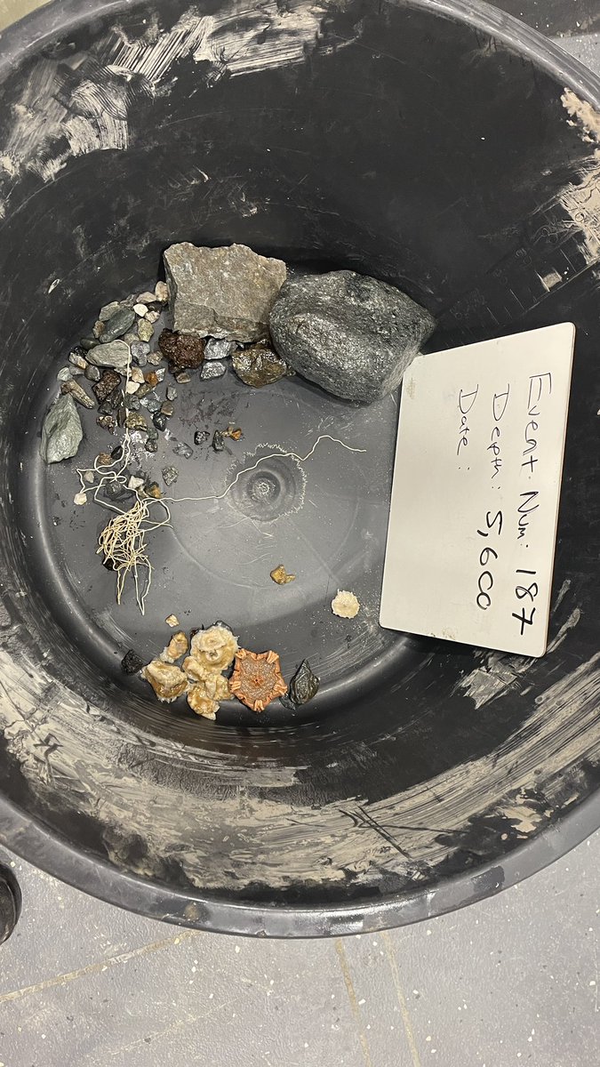 BAS_News's tweet image. Over the past week @griffiths_huw &amp;amp; @morroghmax, the crew and  #SDAScience team have been testing the new deep sea research capabilities of the #RRSSirDavidAttenborough in one of the deepest and least explored parts of #Antarctica, the Hesperides Deep! 🧵(1/4)