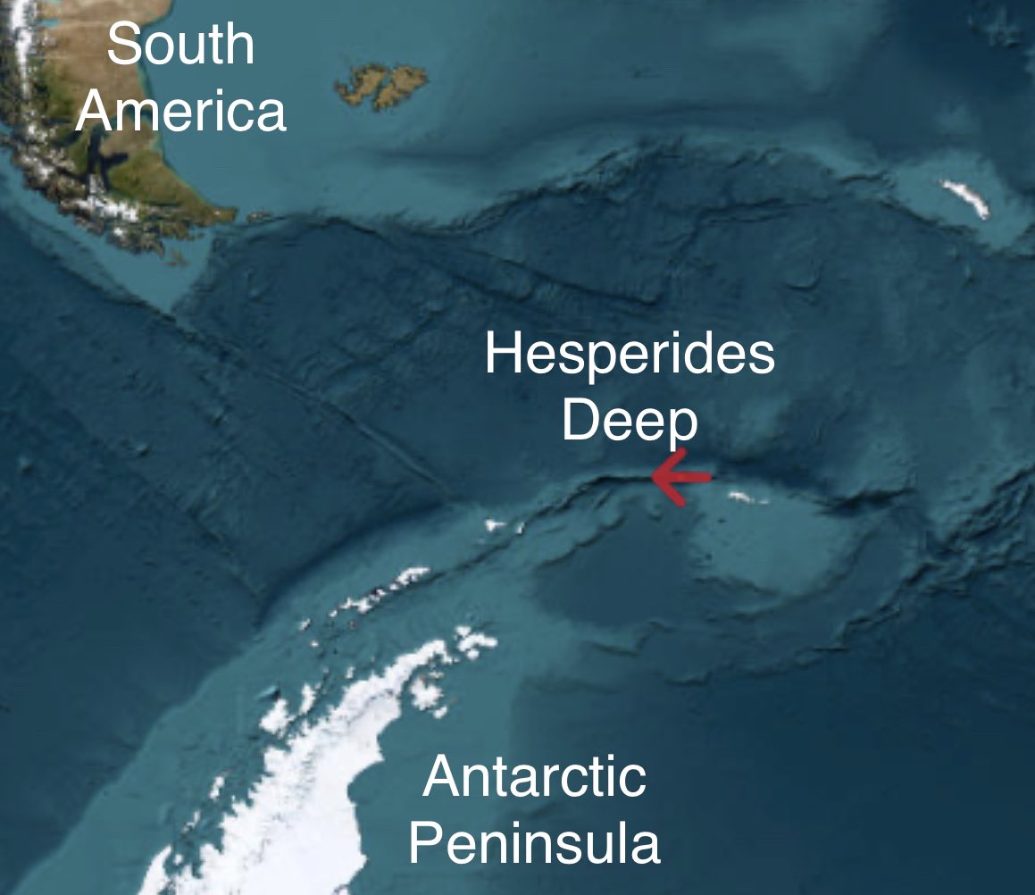 BAS_News's tweet image. Over the past week @griffiths_huw &amp;amp; @morroghmax, the crew and  #SDAScience team have been testing the new deep sea research capabilities of the #RRSSirDavidAttenborough in one of the deepest and least explored parts of #Antarctica, the Hesperides Deep! 🧵(1/4)