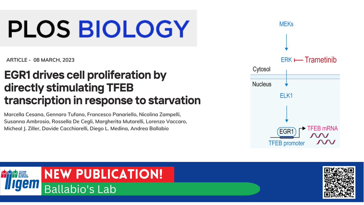 Tigem Telethon (@tigem_telethon) on Twitter photo Another piece of the TFEB regulation has been identified by Marcella Cesana and colleagues from the Andrea Ballabio's lab in collaboration with Diego Medina, Davide Cacchiarelli and the Tigem #BioinformaticCore
Read the full article here:
journals.plos.org/plosbiology/ar…
<a href="/cocchella84/">marcella cesana</a> Another piece of the TFEB regulation has been identified by Marcella Cesana and colleagues from the Andrea Ballabio's lab in collaboration with Diego Medina, Davide Cacchiarelli and the Tigem #BioinformaticCore
Read the full article here:
journals.plos.org/plosbiology/ar…
<a href="/cocchella84/">marcella cesana</a>
