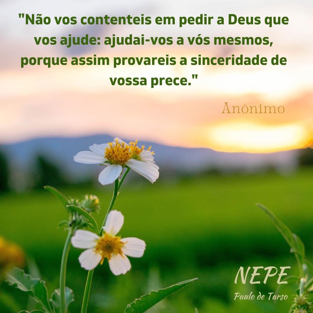 NEPE Paulo de Tarso (@nepepaulo_tarso) / Twitter NEPE Paulo de Tarso (@nepepaulo_tarso) / Twitter