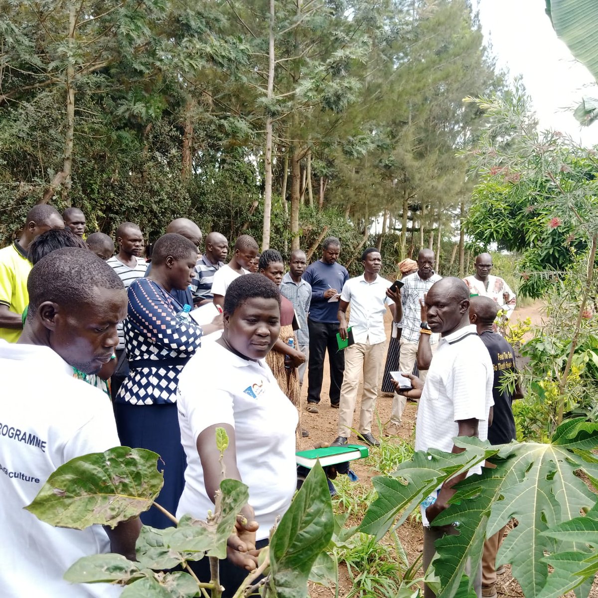 giz_uganda's tweet photo. The farmers learning trip to central Uganda (Masaka district) is happening for 4 days now and one of the projects visited is St. Jude family farm.
This activity is supported under the GIZ's Rural Development Programme #PRUDEV which is funded by @BMZ_Bund and @EUinUG https://t.co/58bBJeGIOW