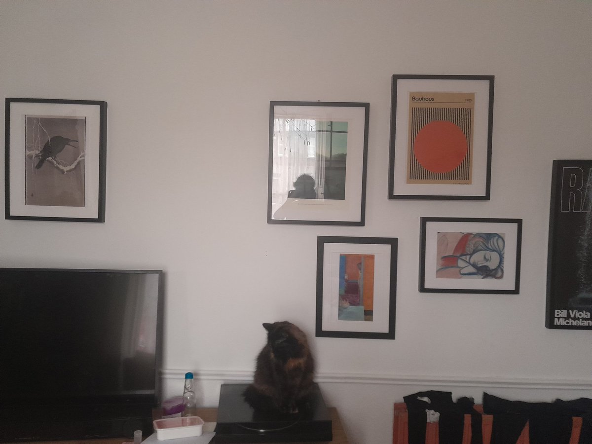 DarraghMc's tweet photo. in her art gallery https://t.co/eLt0NiMu0d
