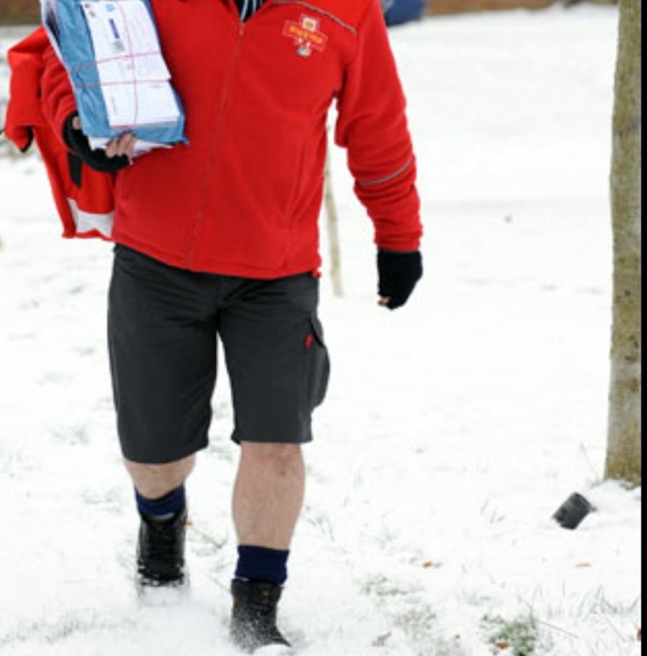 Tony__Yorkshire's tweet image. If ur Yorkshire Postie int in shorts all year round, are they even ur Postie????