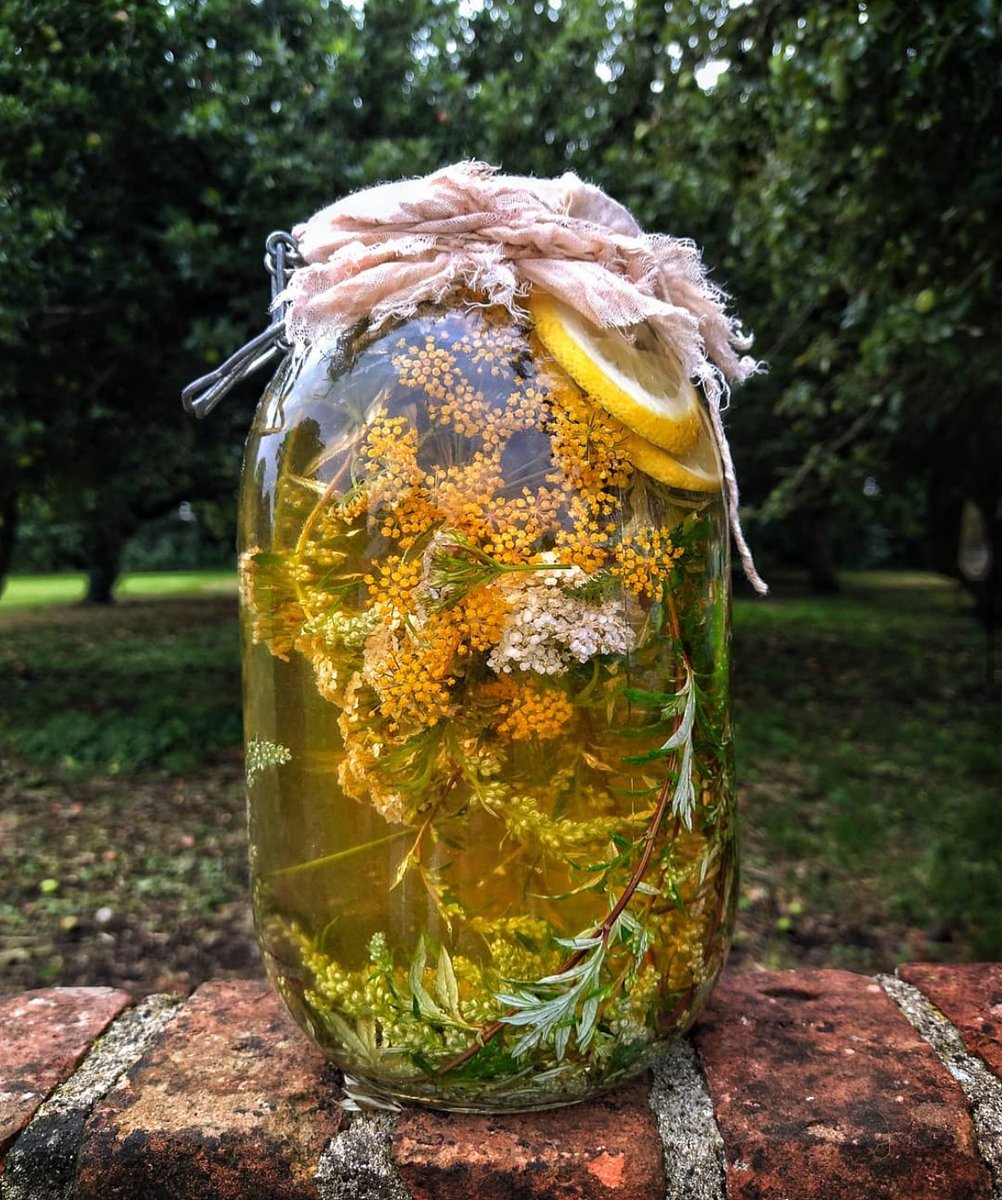 Despite the weather; we promise Spring is on its way, and so are our Foraging and Wild Cooking adventures! 🌿
Tickets are selling quickly for our April dates ✨

#secretadventures #foraging #wildcooking #visitoxfordshire