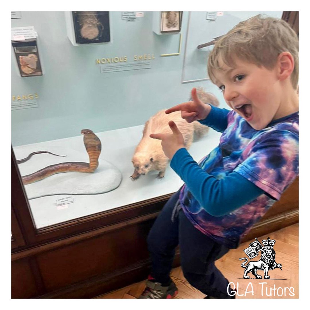 chrisdaniels540's tweet image. H on his third enrichment day for positive engagement with his learning with globallearners.academy

Two families joined for a great day at the @HornimanMuseum 

#tutor #family #education #kids #learning #school #teacher #learn #museum #enrichment #children #joy #happy #dayout