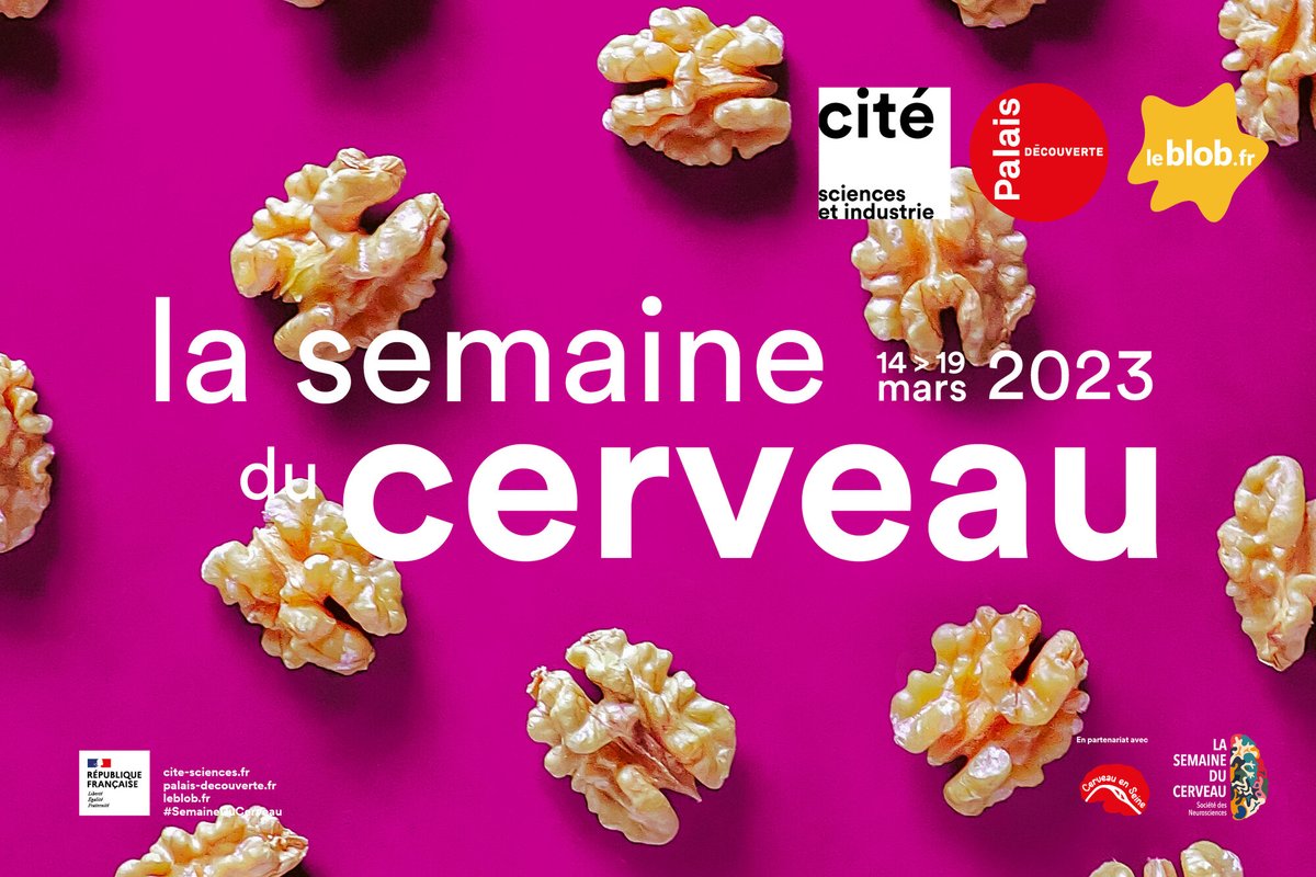 La #SemaineDuCerveau - Du 14 au 19  mars
@universcience s’associe à la Société des neurosciences et propose un programme de médiations dans le cadre de la @SemaineCerveau à la @citedessciences et dans #LesÉtincellesduPalais @palaisdecouvert !

@SocNeuro_Tweets @Semaine_Cerveau