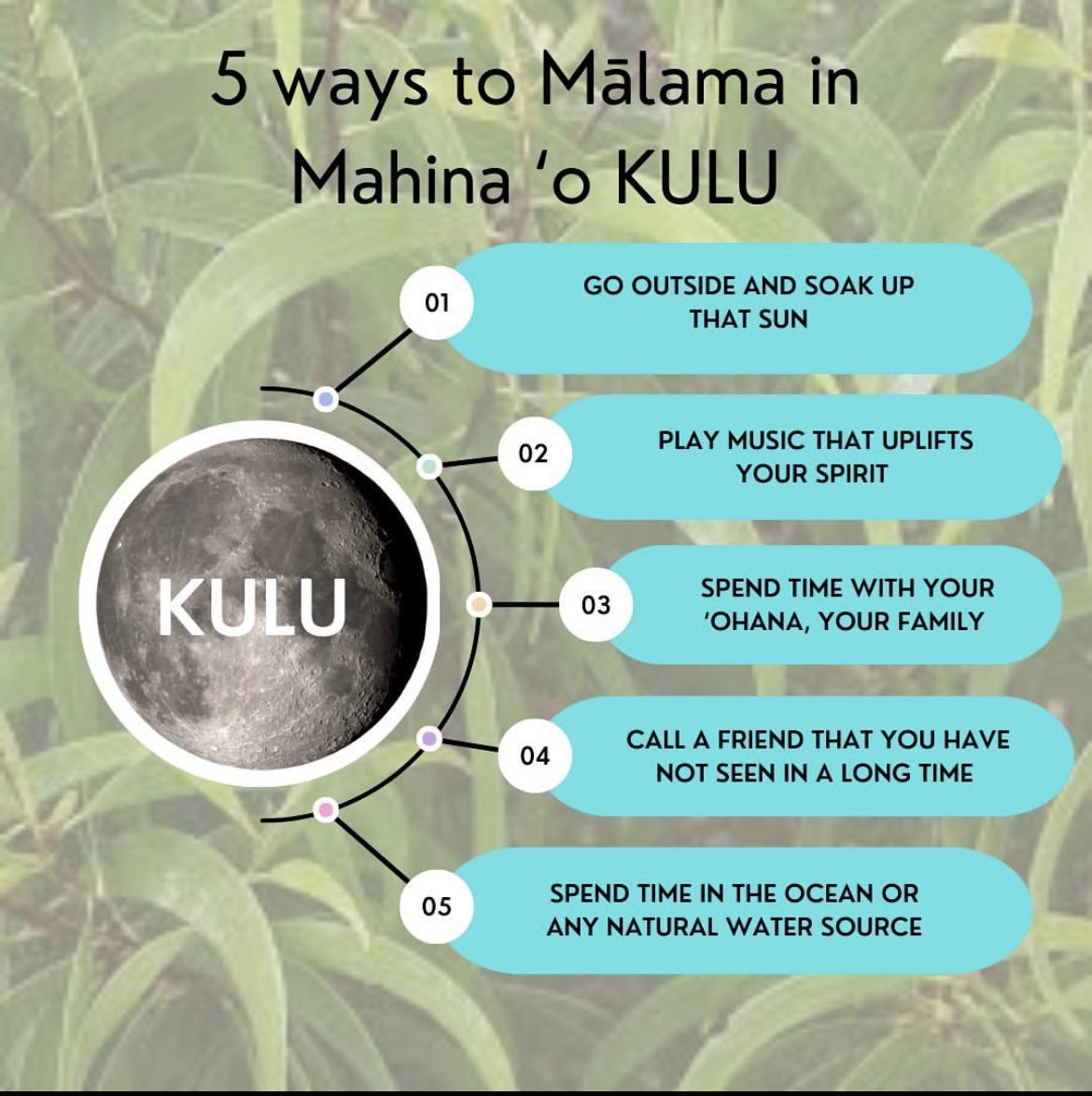 Kulu, Mālama I kekahi I kekahi! Take care of each other! E Ola! 

#kulu #aloha #ahonui #patience #love #compassion