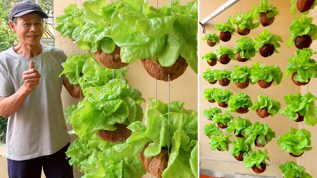DiningCooking's tweet image. Amazing Hanging Vegetable ...
 
#CoconutShell #ContainerGardening #DIY #DiyGarden #GardenIdeas #Gardening #GardeningForBeginners #GardeningIdeas #Grow #GrowingVegetables #GrowingVegetablesAtHome #GrowingVegetablesForBeginners #HagingGarden
 
diningandcooking.com/687401/amazing…