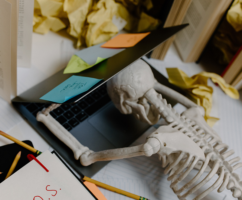 Merchant of Magic tweet media