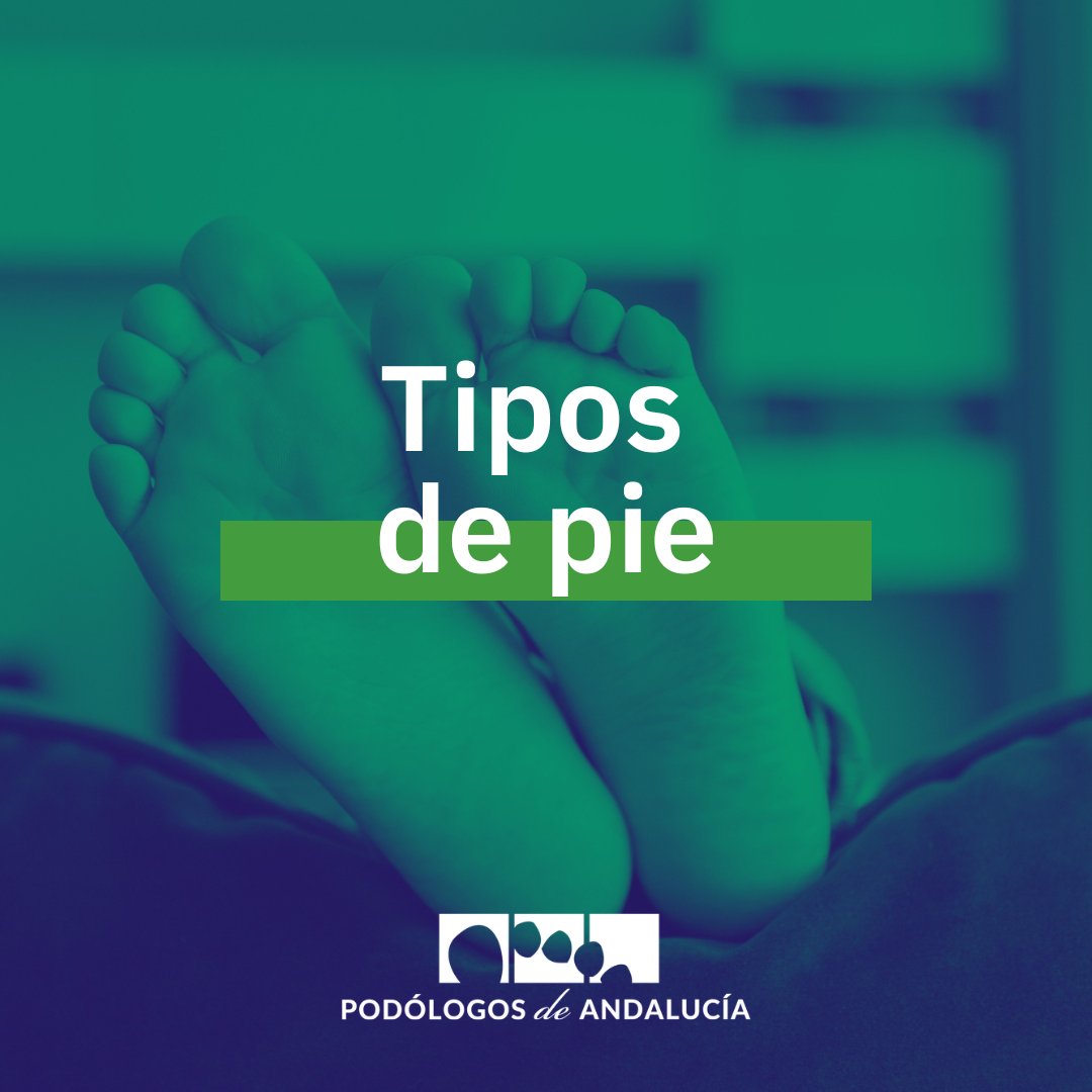 🖥📚 ¿Sabes cuál es tu tipo de pie?

📋 Te contamos algunas particularidades del tuyo en esta nueva entrada de nuestro blog: 

copoan.es/web/tipos-de-p…

#PodólogosDeAndalucía