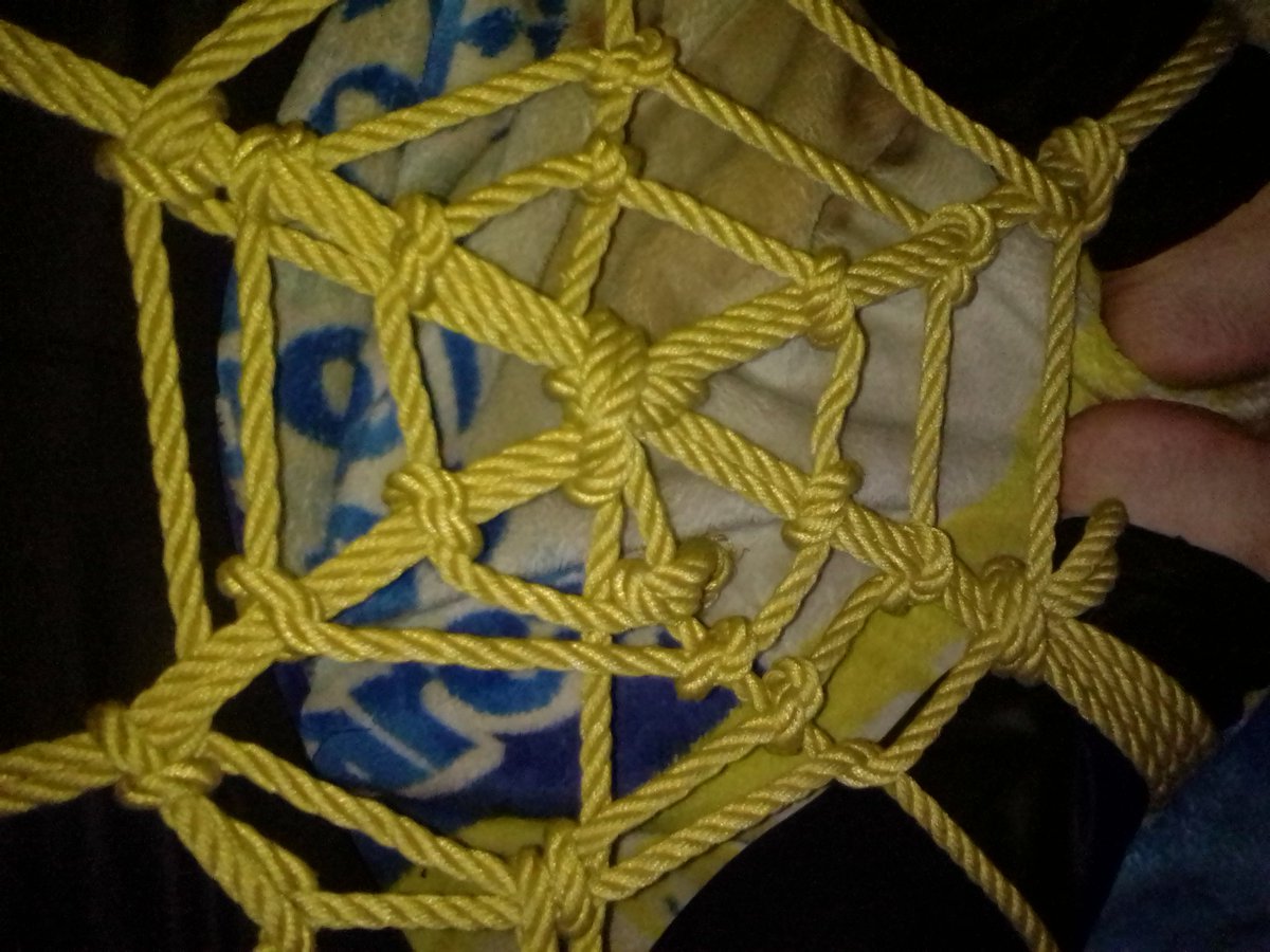 ShitsukiY's tweet image. #shibari
#webspider