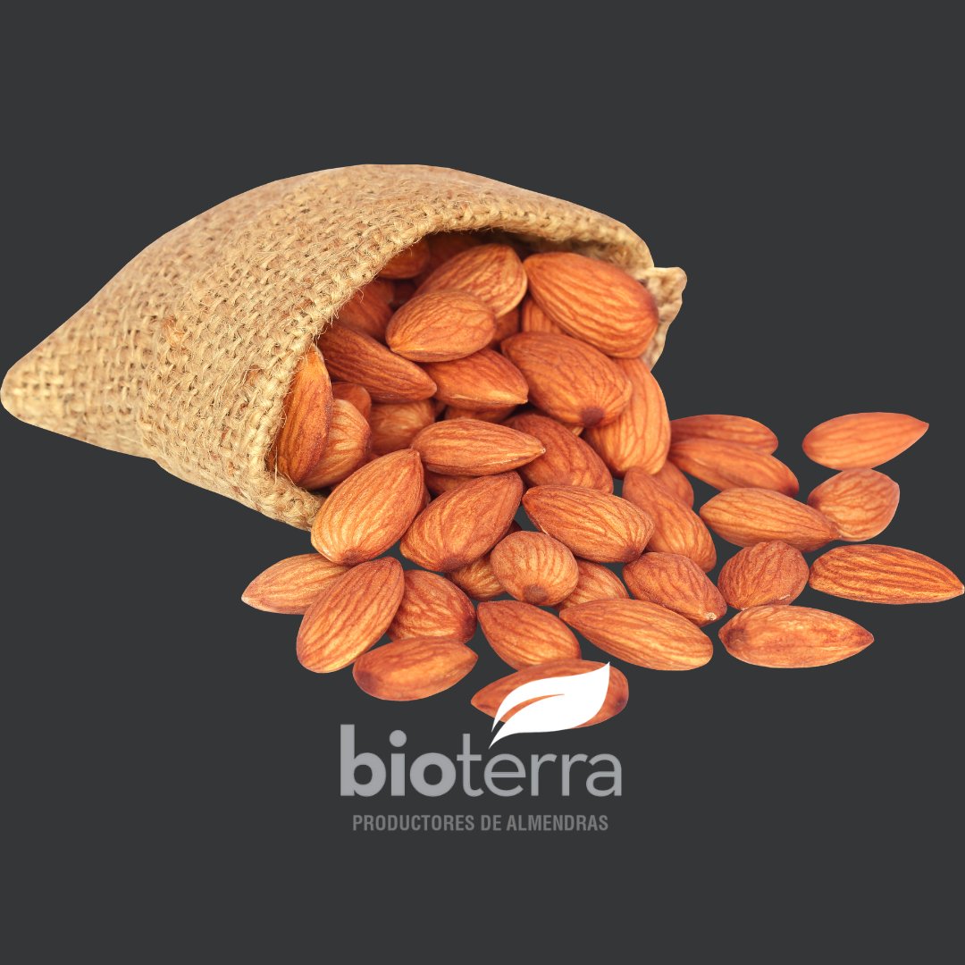 Hoy es el día mundial del #riñón y qué mejor manera de cuidarlo que comiendo sano‼️
📲 lnkd.in/d-Zim7hx