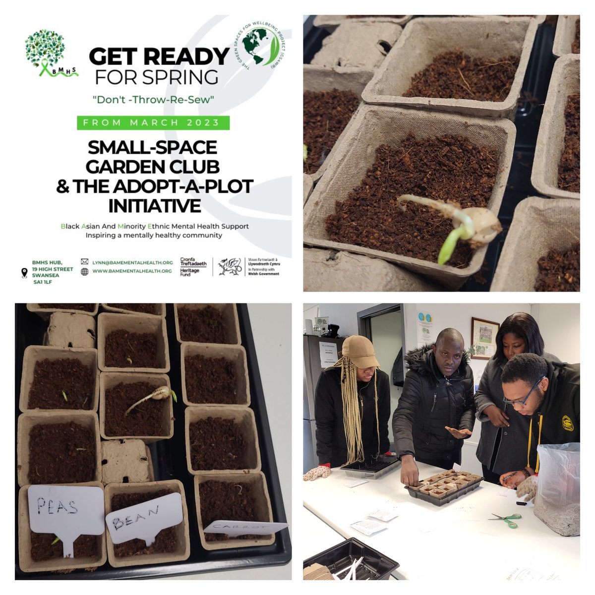 @BAMEMentalHS hub on the High Street Small-Space Garden- sample batch of peas, beans & carrots helping to bring nature inside. Need seeds? Want to be part of out clubs? Drop in on Wednesday #GS4WB 
#LocalPlacesforNature
@HeritageFundCYM 
@WGClimateChange 
@SwanseaCouncil