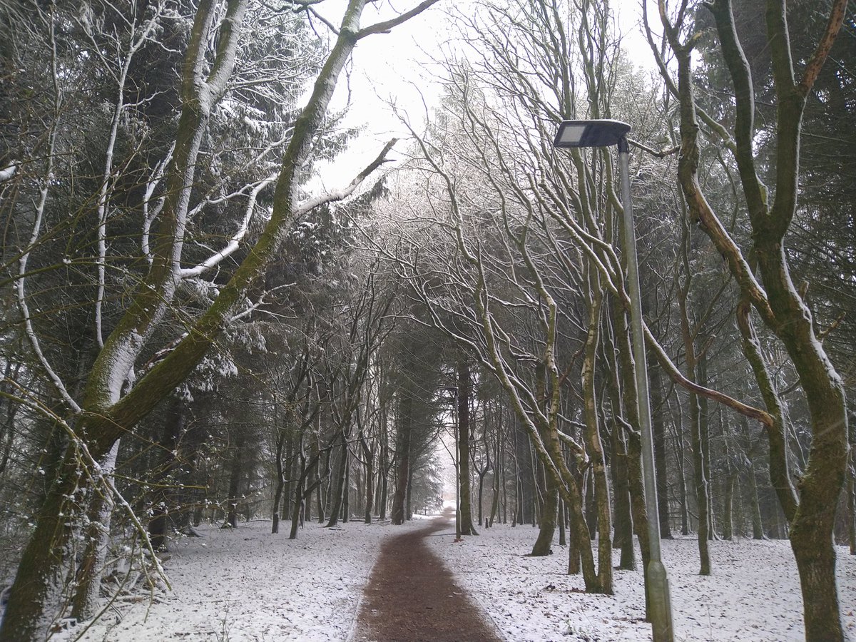 #KeeleUniversity ... Modern Narnia?? ❄️🌨️

#GreenKeele