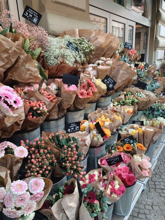 liIacdaisy's tweet photo. flower shops https://t.co/ASMc8QoHn5