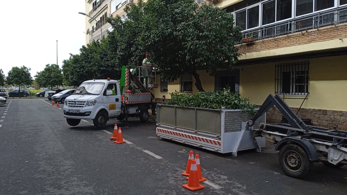 Ayto_Sevilla's tweet photo. 🌳 Prosigue la campaña de desbroces con los refuerzos previstos en marzo, en recursos propios de Parques y Jardines y en las adjudicatarias de contratos de conservación, #072REUR o planes de empleo joven.
✅ c/ Ciudad de Sueca
✅ Avd Emilio Lemos
✅ c/ Marie Curie
✅ c/ Mejillón https://t.co/lFgMbMMlMz