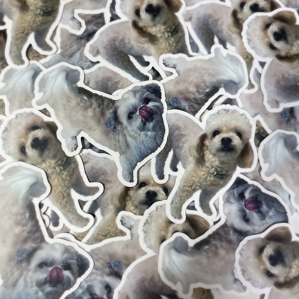 안녕하세요 서랍 정리하다 찐찐찐최종막권이 나온 김에 나눔해요

📚: 을지로맨스 소장본 1️⃣명 (완결기념 갠소용이라 외전은x, QR 찍으면 bgm링크로 이동), 다롱보리 조각스티커세트 2️⃣명

📢: 3월 16일 송도즈현현 직전 저녁

🔎: RT한 밀빵러 중 추첨 (비계 거래계 제외~.~)

사유:👇🏻(+ㅁㅃ홍수)