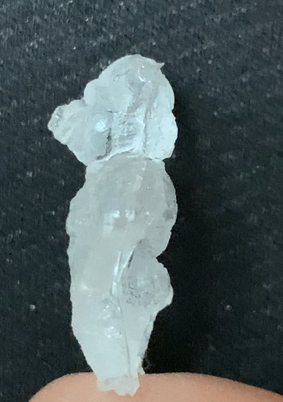 ネフラデル国昭さん@Alien5319 から猪親分とぽにょ星人(鳥)のちびフィギュアをいただきました✨めっちゃ可愛い!!ありがとうございますー!!
伝わるかなこの鼻とか牙とかお尻の細かさ…!! 