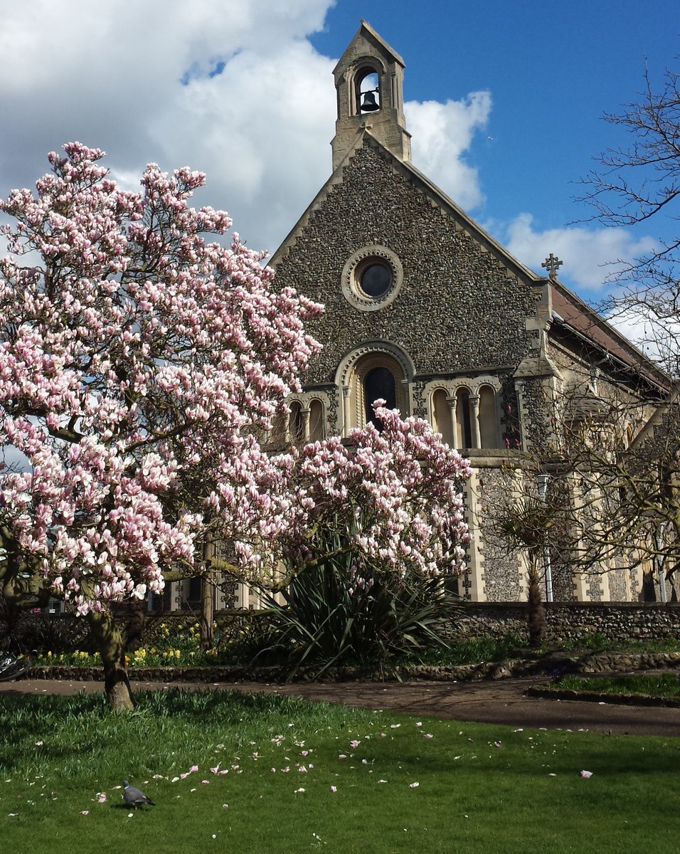 Calling all nature lovers. Have you heard of citizen science projects? It’s where members of the public help conservation organisations collect data to help monitor and protect wildlife.