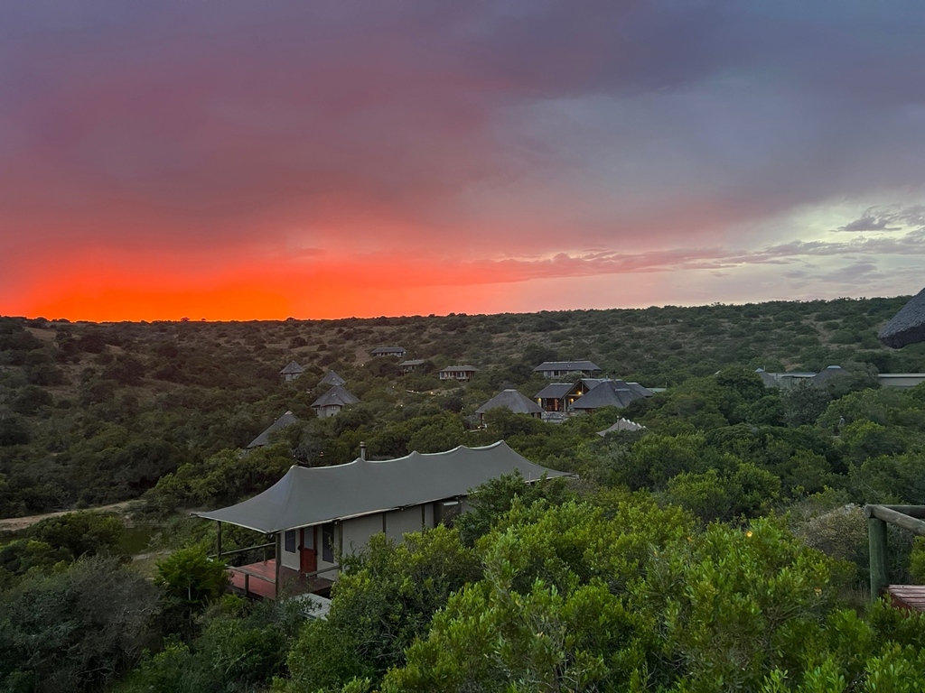 Bukelagamelodge's tweet photo. As the sky ignites into a beautiful blaze of colours, it creates a moment of awe and wonder. 🥰

Have you captured any great safari sunset photos? We would love to see them! Share your best shots in the comments below."

https://t.co/VPZVjefnk5 https://t.co/hakGHvd11T