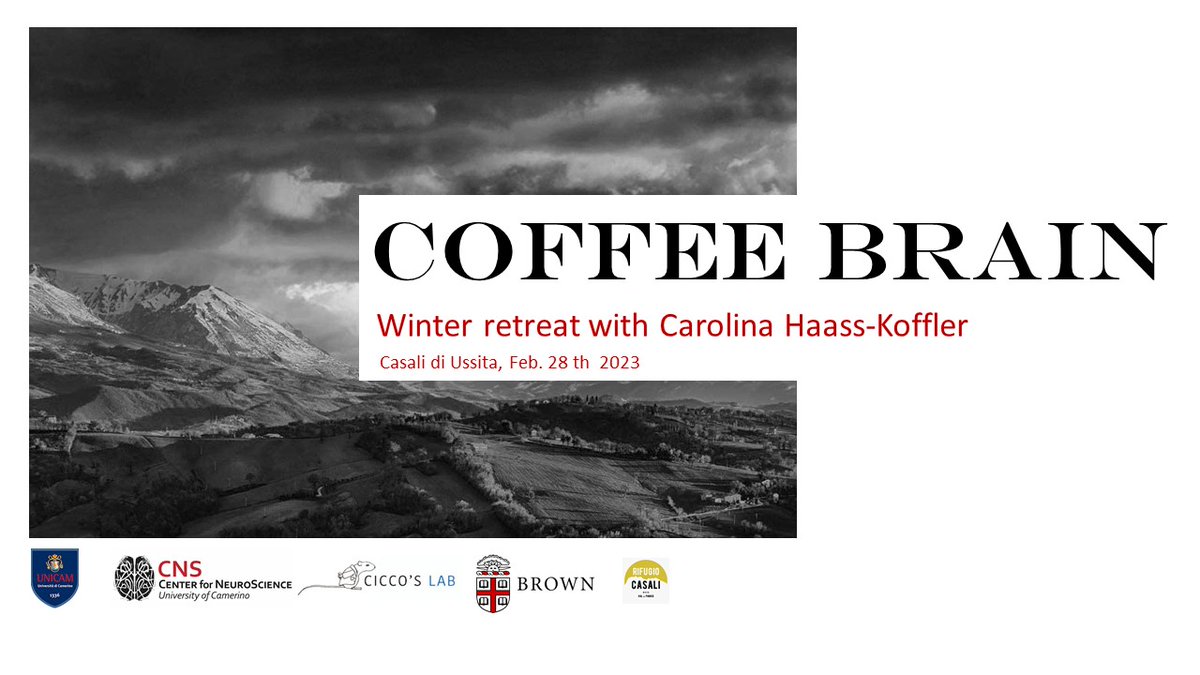 Dr. Haass-Koffler's Clinical Neuroscience Lab tweet media