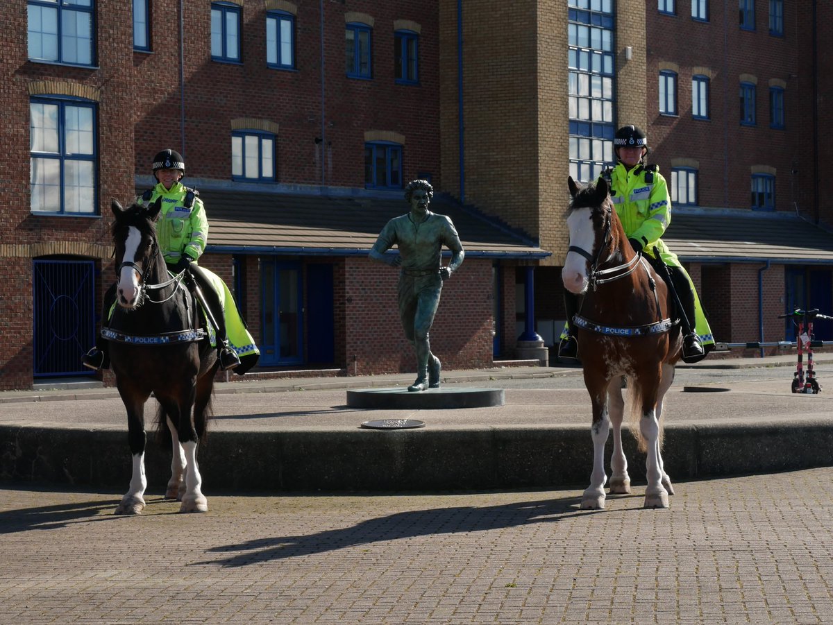 @MerPolMounted The beautiful Daisy and Beau (not sure what the horses names are tho ;-)) taken this week while out on patrol at Liverpool docks. Keep up the good work!  #PHBeau #MountedPatrols
