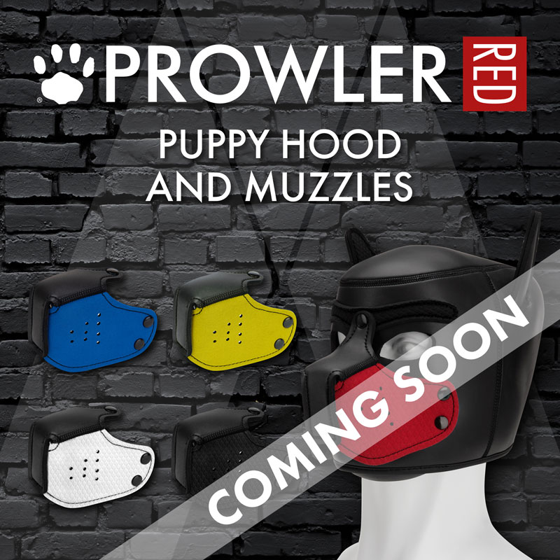 ABSHoldings tweet media