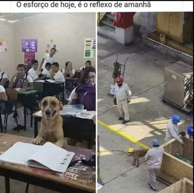 a Ruiva ❁ 🍷🗿 on Twitter: a Ruiva ❁ 🍷🗿 on Twitter: