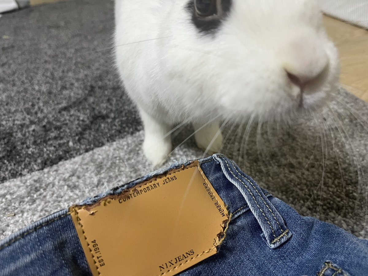 새로 산 바지