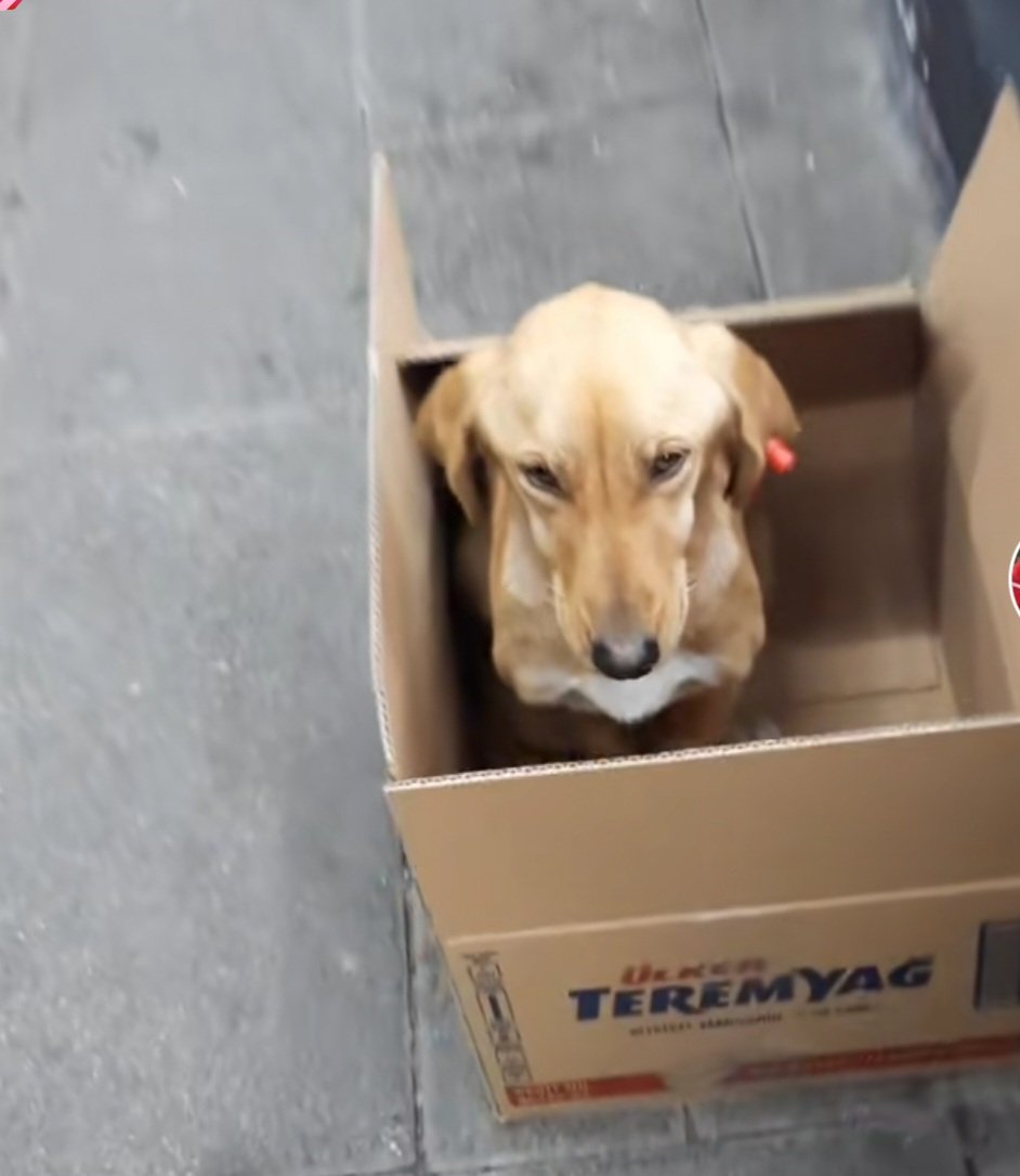 Mi imagen del día, " empieza a hacer frío, muchos duermen donde pueden, podemos ayudar a mejorar eso??, se les agradecerá...