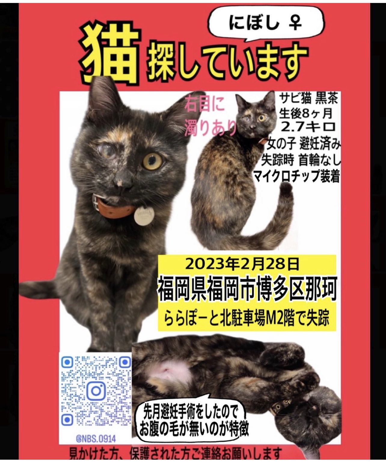 帯太郎@迷子動物探偵 on X: 帯太郎@迷子動物探偵 on X: