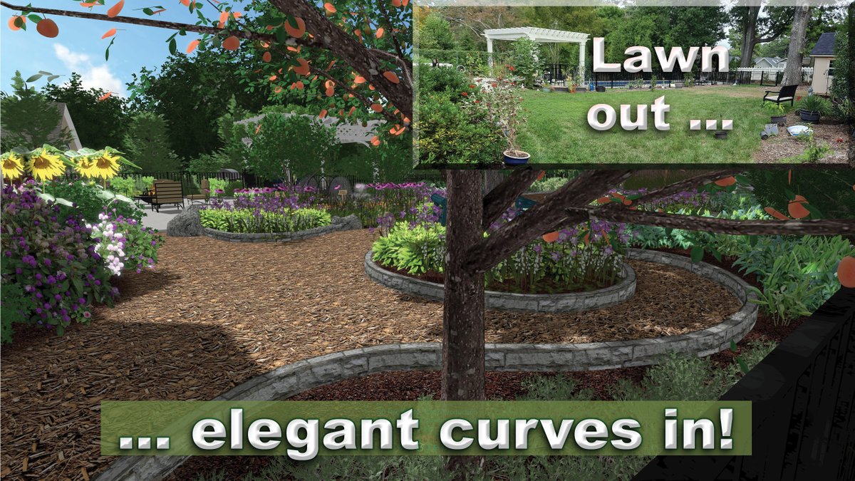 EarthiusProject's tweet image. Live near a #busyStreet? Want to #connect, be more #resilient for the next #crisis, provide native habitat in suburbia?  Glean some #inspiration from this video for my latest clients and get going!!!!
youtu.be/rfKG4UMIlcg
#Permaculture
#ClimateAction
#gardening
#regenerative