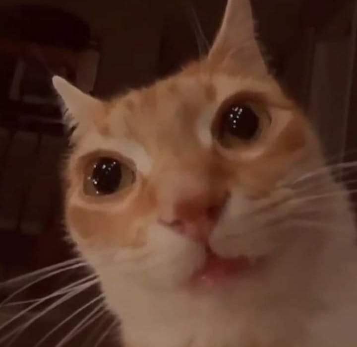 CarlosAkermann's tweet photo. Maldita sea, le di los vrgazos a mi módem porque pensaba que se había ido el Internet, resultó ser que tiktok se cayó 
#tiktokdown https://t.co/gHBHhEkfAC