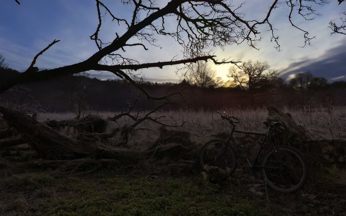 Sun coming up over Mauldslie Estate this morning!

#nature #lanarkshire #scotland #uk #unitedkingdom