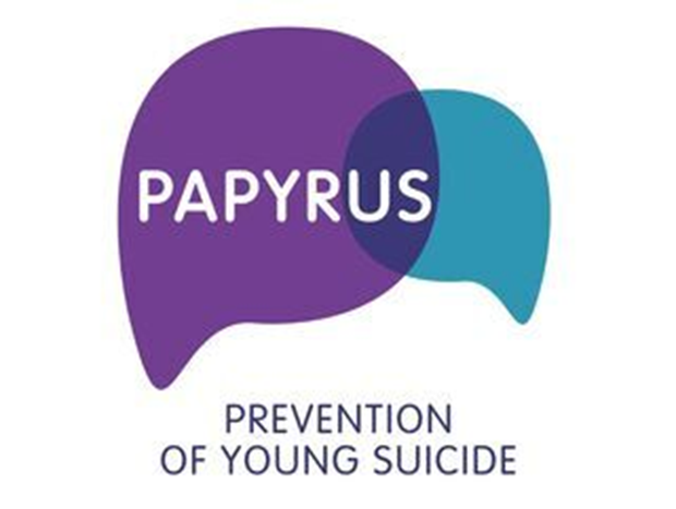TitaniumTech2's tweet photo. Come this weekend to the Ards shop to join in on our first charity event! We are putting ALL items on sale and donating profits to PAPYRUS https://t.co/ToaFuryzRH 
#charity #papyrus #gaming #titaniumtech #northernireland https://t.co/H6e2LltmRj