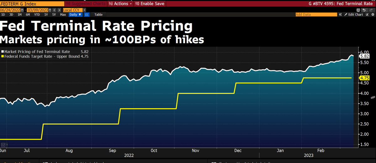 Daniel Curtis tweet media