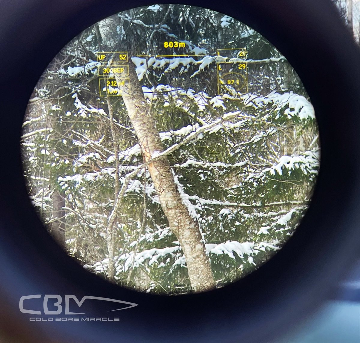 coldboremiracle's tweet photo. This was pretty impressive, @steineropticsusa has done a great job with the M7Xi. #coldboremiracle #freelancesharpshooter #steineroptics #hud #headsupdisplay #riflescope https://t.co/0ojJ3fMq3h