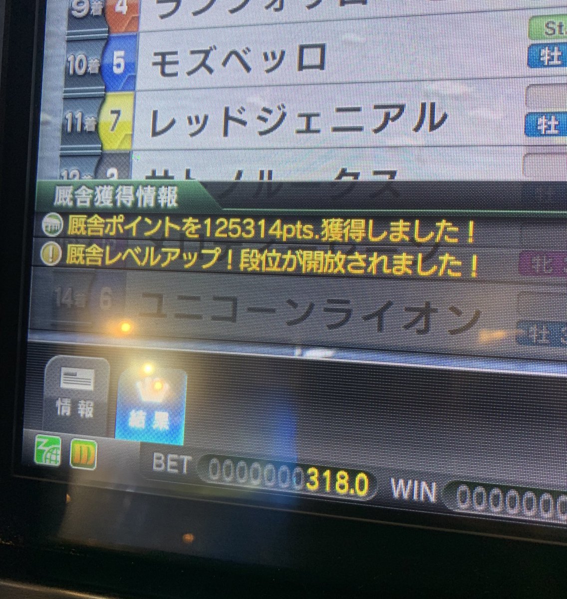 やっと初段！長かった😷