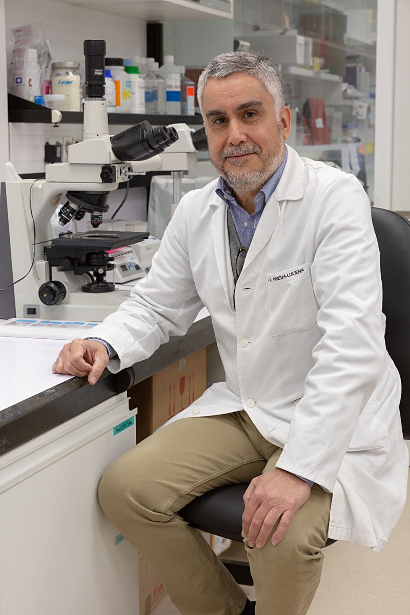 Identifican bacterias de la microbiota intestinal que podrían prevenir la resistencia a antibióticos.
🦠#microbioma #proyectoMicroBiomics
cima.cun.es/actualidad/not…