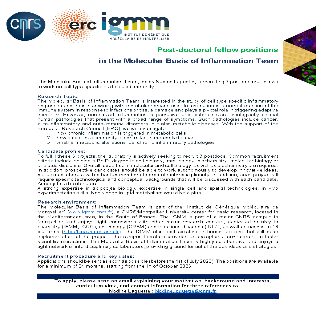 Laguette Lab (@lablaguette) on Twitter photo We are #recruiting! If you are looking for a #postdoc position in the fields of #innateimmunity and #inflammation, contact us! Positions are for a min of 2 years, starting Oct 2023, on the vibrant main <a href="/CNRS_OccitaniE/">CNRS Occitanie Est</a> campus in Montpellier, within the @IGMM_Montpel - Please RT! We are #recruiting! If you are looking for a #postdoc position in the fields of #innateimmunity and #inflammation, contact us! Positions are for a min of 2 years, starting Oct 2023, on the vibrant main <a href="/CNRS_OccitaniE/">CNRS Occitanie Est</a> campus in Montpellier, within the @IGMM_Montpel - Please RT!