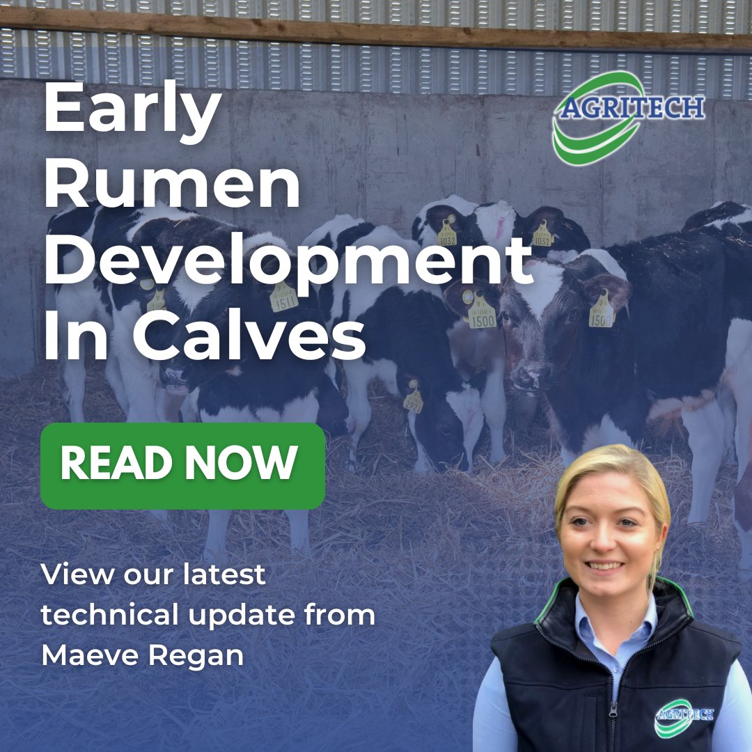AgritechIreland's tweet image. We're talking all things calf rumen development this month!🐄

Learn how you can aid the transition from pre-ruminant to ruminant. 👉bit.ly/3kEdcxO

#CalfRearing #RumenDevelopment #Calving23