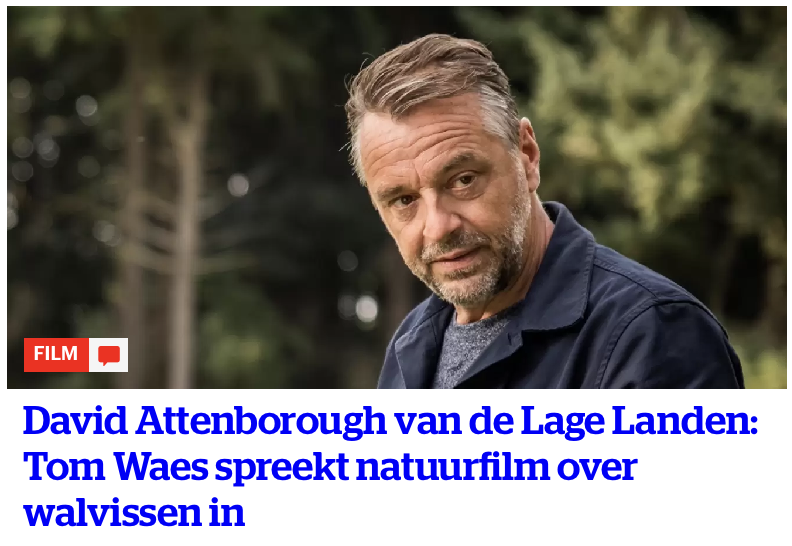 "Amai ma dees godde ni geloeve, wa ne groête vis is me dá seg"