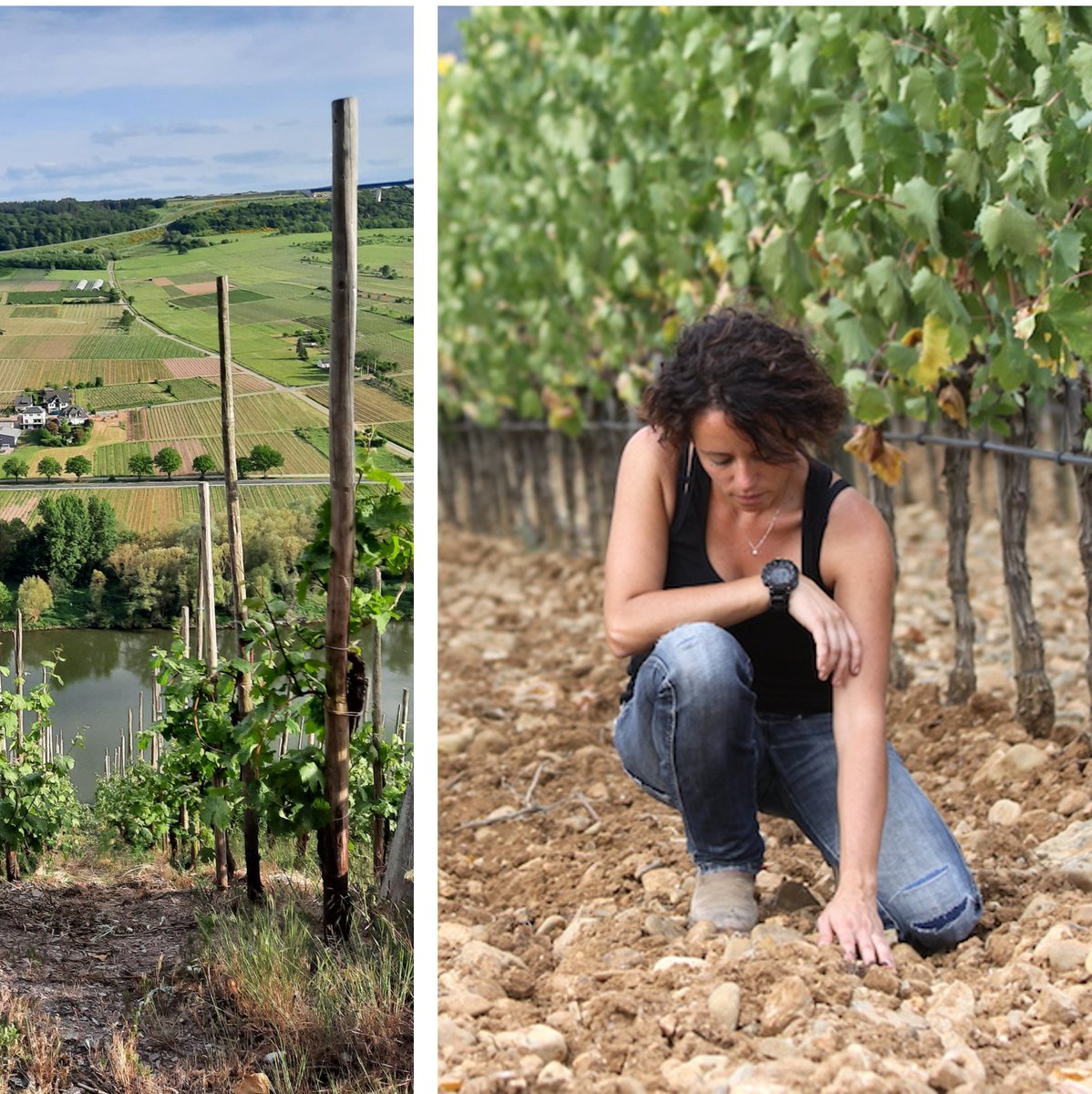 #ProWein is the essential global wine fair.  

There were a staggering 38,000 attendees, from 145 countries, connecting with 5700 exhibitors in 2022. Only 22% were German – that’s nearly 4,500 options from 61 other countries to explore.  Can you afford not to be there?