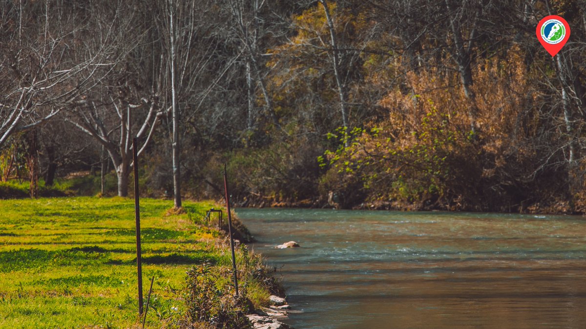 LRALitani's tweet image. 🏞| “No river can return to its source, yet all rivers must have a beginning.” – Proverb
📸| @Hichamtakach 
.
.
#litani #litaniriver #lra #litaniriverauthority #lebanon #photoshoot #photooftheday #droneshots #dronephotographer #southlebanon #mylebanon  #sunset #livelovelebanon
