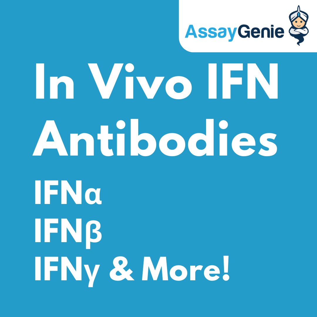 AssayGenie's tweet image. We have launched Bioactive Interferon In Vivo mAbs. 

assaygenie.com/interferons-an…

The range includes both low and ultra-low endotoxin in vivo mAbs for all major interferon targets including:

IFNα
IFNβ
IFNγ [XMG1.2]
IFNAR-1
CD119 (IFN-γ Rα Chain) &amp;amp; More