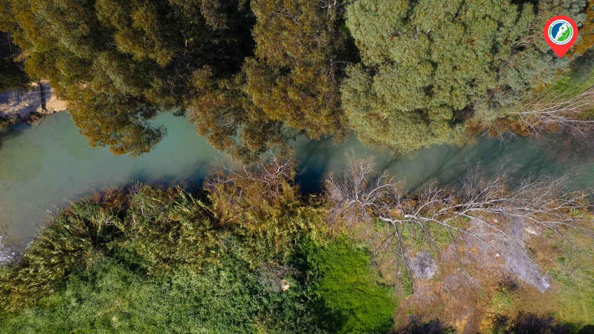 LRALitani's tweet image. 🌳| Have a nice Sunday..
📸| @hichamtakach 
.
.
#litani #litaniriver #lra #litaniriverauthority #lebanon #photoshoot #photooftheday #droneshots #dronephotographer #southlebanon #mylebanon #wearelebanon #natureaddict #whatsuplebanon #livelovelebanon #beautifuldestinations
