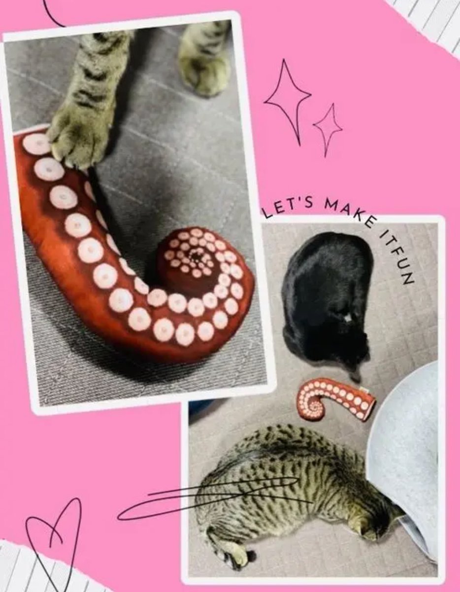 またまたMINTCATSのご紹介です😸
🐙で遊んでくれるキュイちゃんとほたてくん💕
先日ご注文いただいたKさまからの画像です。
いっぱい遊んでくれてるみたいで作った側もすごく嬉しいです😆
こうして使ってくれる猫ちゃんたちの画像は本当にモチベーション上がります😍
Kさまありがとうございました！