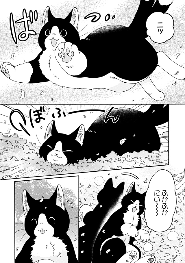 でっかいねこまたととーちゃんが
秋の森で出会ったものとは…?🐱🍄(1/3) 