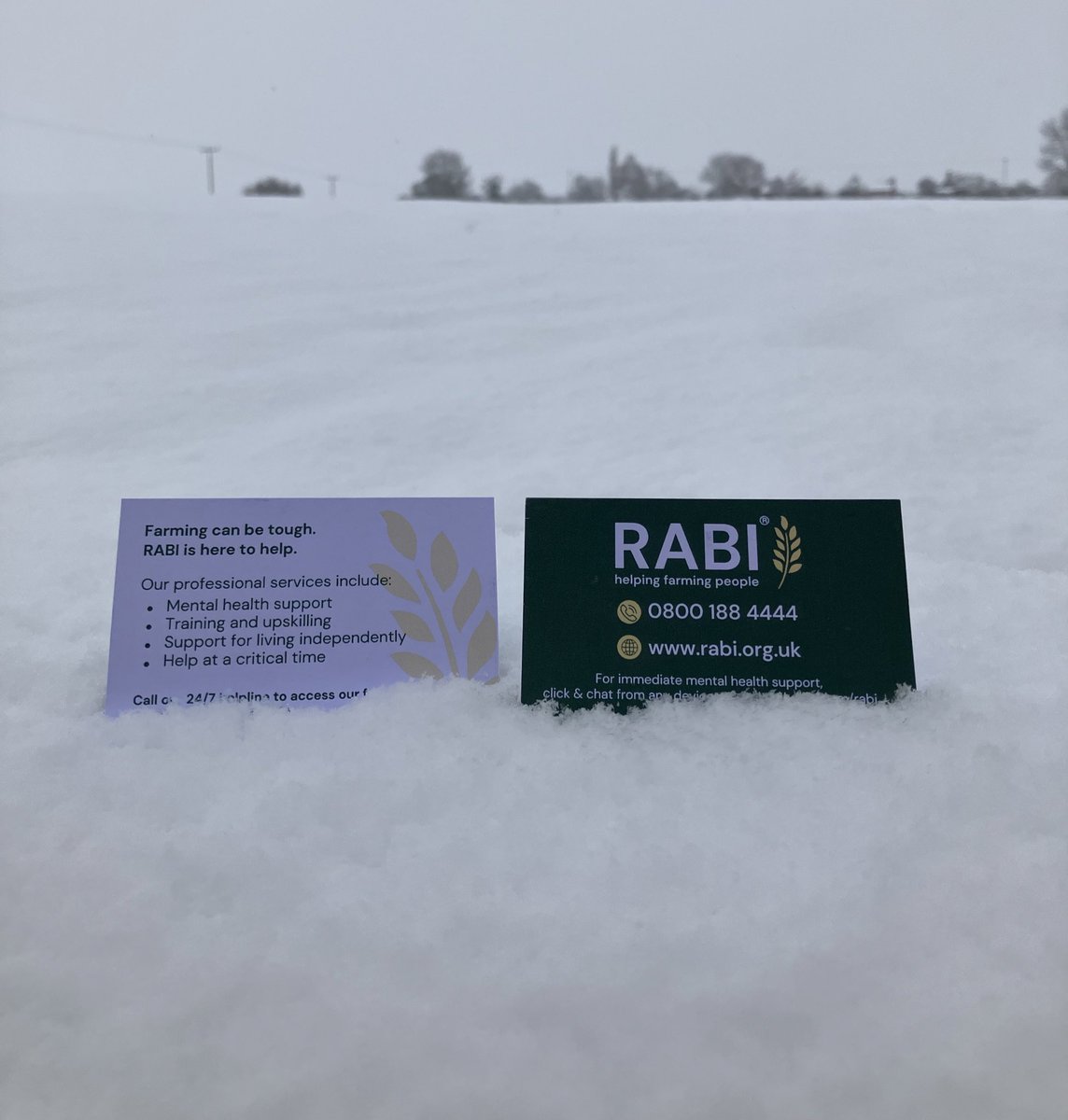 RABIWestMids's tweet photo. Thinking of our farming community who are continuing to work in these snowy conditions. If you are struggling , @RABIcharity are just a phone call away 0800 188 4444. #helpingfarmingpeople https://t.co/LbOc8mOXpi